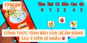 Công Thức Tính Bầu Cua_ Bí Ẩn Đằng Sau 3 Viên Xí Ngầu